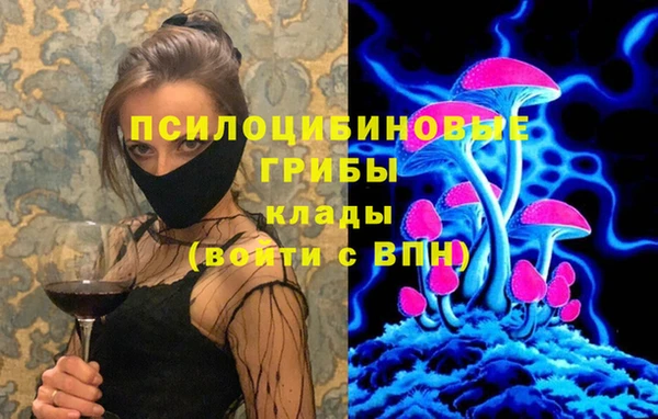 винт Абаза